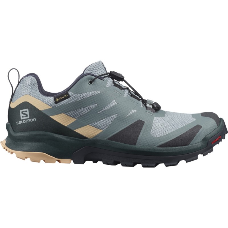Salomon XA Rogg GTX - Wandelschoenen Dames